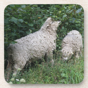 Cute Sheep Eating Leaves Cork Coaster