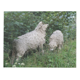 Cute Sheep Eating Leaves Notepad