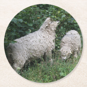 Cute Sheep Eating Leaves Paper Coasters