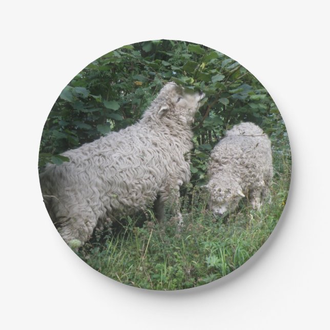 Cute Sheep Eating Leaves Paper Plate (Front)