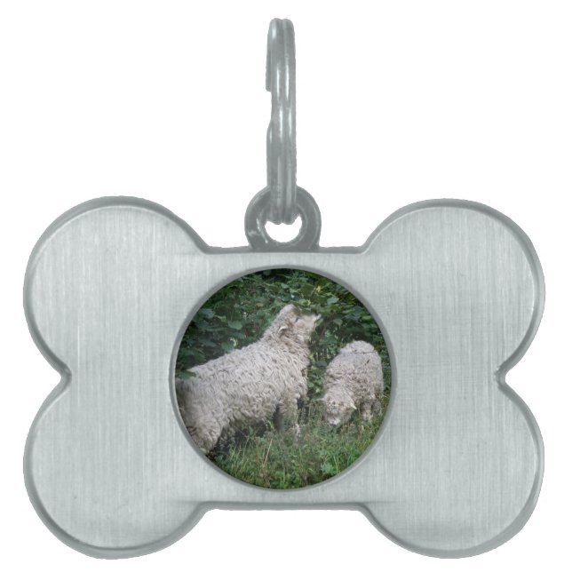 Cute Sheep Eating Leaves Pet Tag (Front)