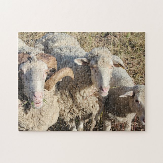 Cute Sheep Family Animals Lamb Jigsaw Puzzle (Horizontal)