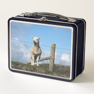 CUTE SHEEP METAL LUNCH BOX