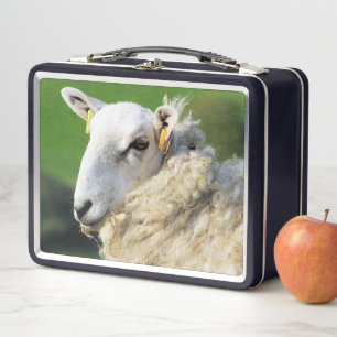 CUTE SHEEP    METAL LUNCH BOX