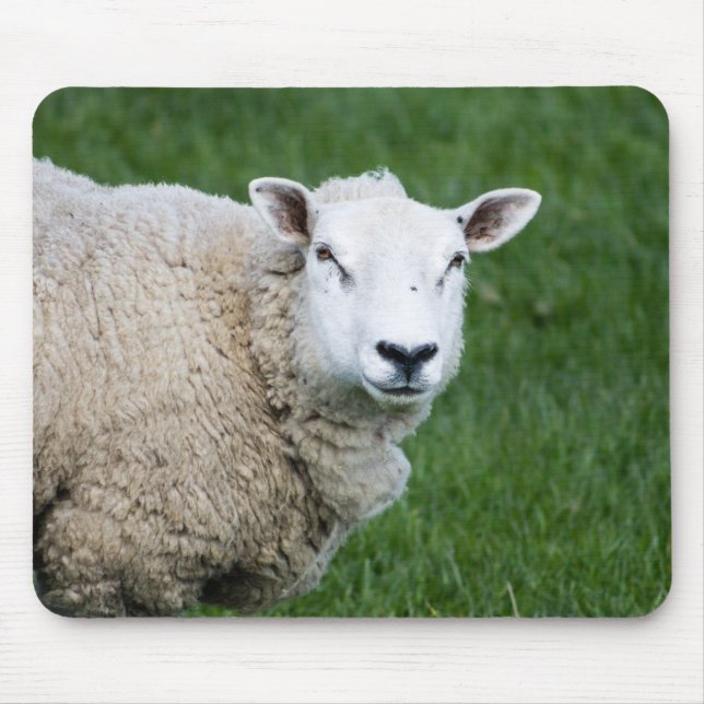 Cute Sheep Mouse Pad (Front)
