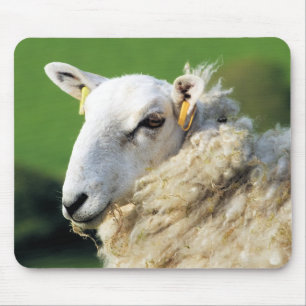 CUTE SHEEP MOUSE PAD