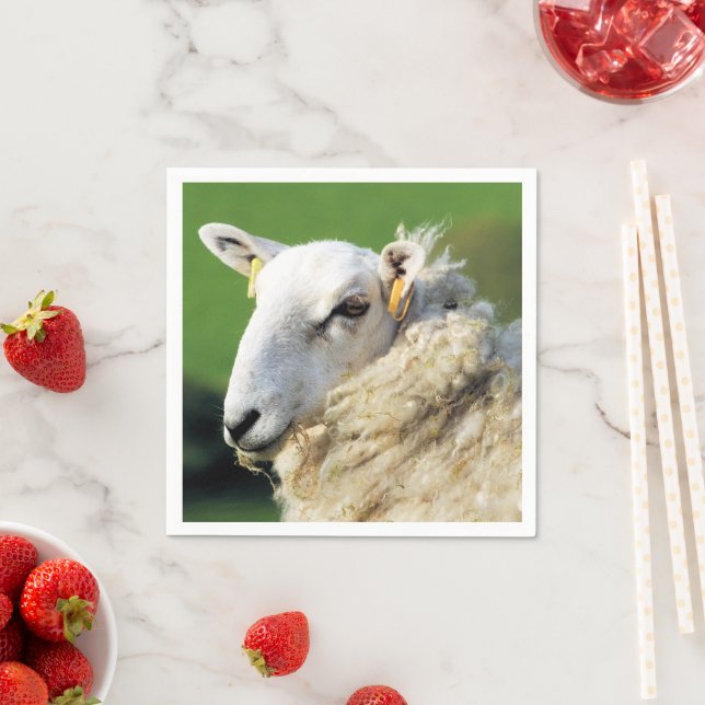 CUTE SHEEP NAPKIN (Insitu)