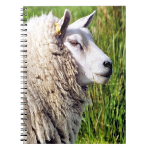 CUTE SHEEP NOTEBOOK