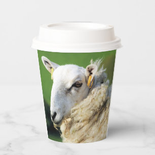 CUTE SHEEP PAPER CUPS