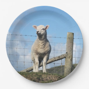 CUTE SHEEP PAPER PLATE