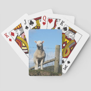 CUTE SHEEP PLAYING CARDS
