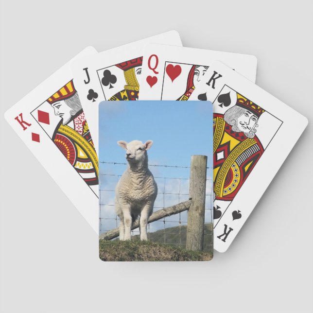 CUTE SHEEP PLAYING CARDS (Back)