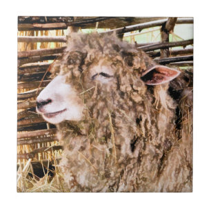 CUTE SHEEP TILE