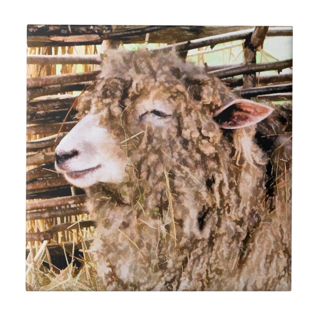 CUTE SHEEP TILE (Front)