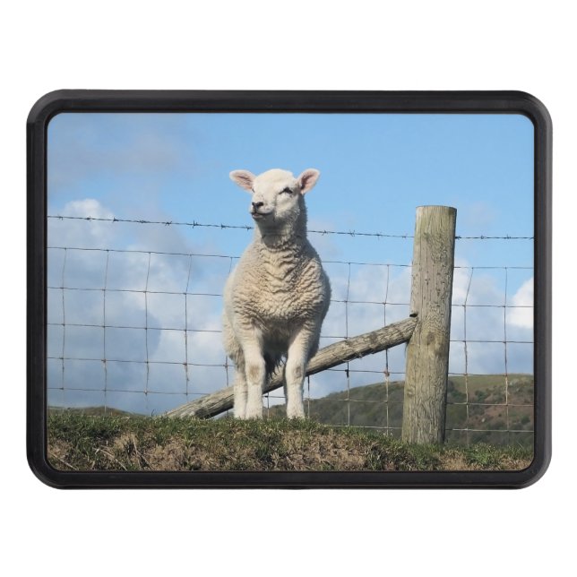 CUTE SHEEP TRAILER HITCH COVER (Front)