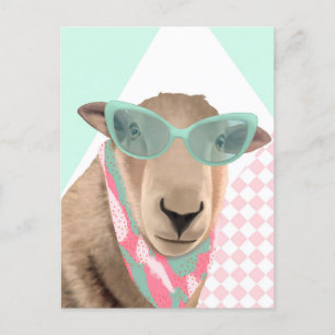 Cute Sheep With Glasses Postcard