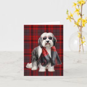 Cute Sheepdog and Red Plaid Funn Holiday Christmas Card