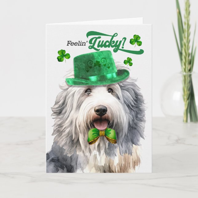 Cute Sheepdog Feelin' Lucky St Patrick's Day Holiday Card (Front)