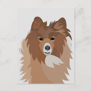 Cute Sheltie Dog Art Postcard