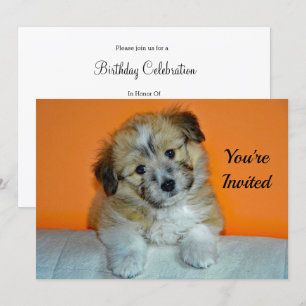 Cute Sheltie Puppy Photo Birthday Invitation