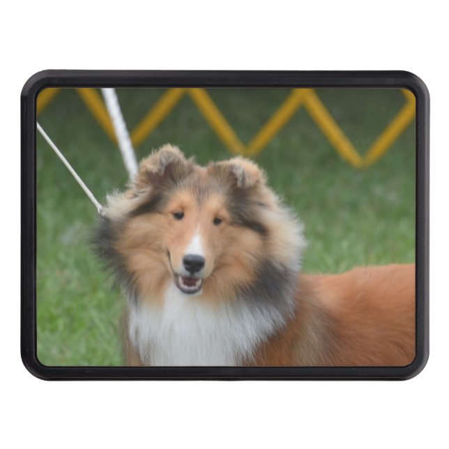 Cute Sheltie Trailer Hitch Cover (Front)