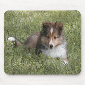 Cute Shetland Sheepdog puppy lying in grass Mouse Pad