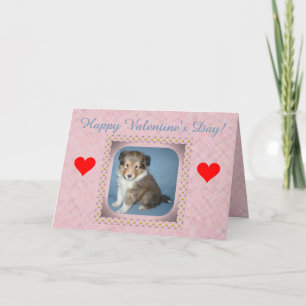 Cute Shetland Sheepdog Puppy Valentine's Day Card
