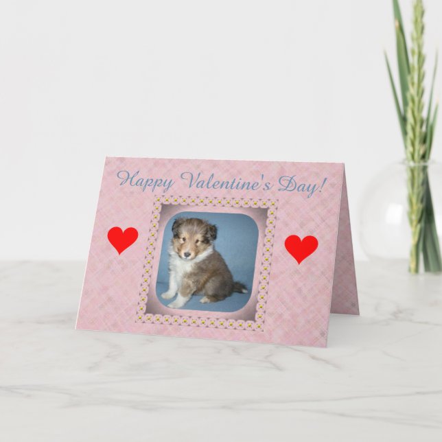 Cute Shetland Sheepdog Puppy Valentine's Day Card (Front)