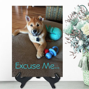 Cute Shiba Inu Chiot avec Modèle photo Jouets