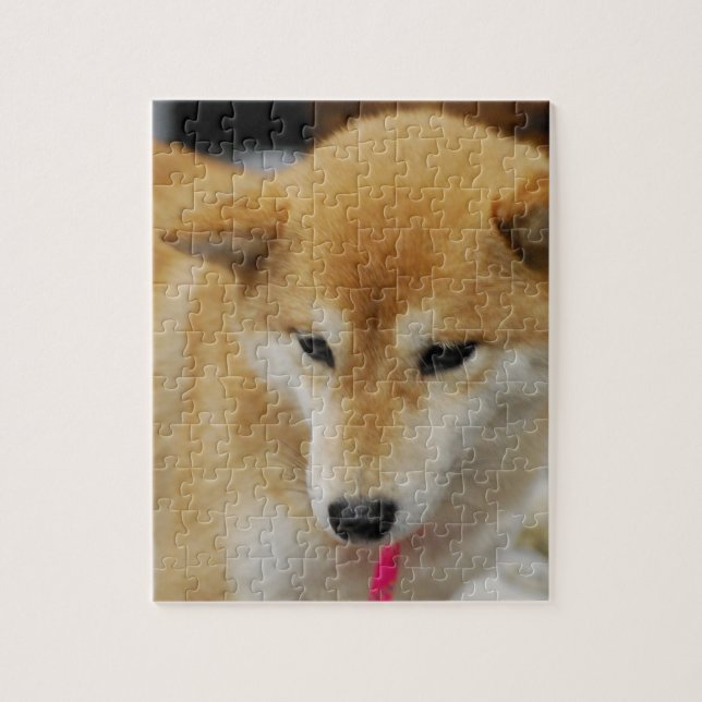 Cute Shiba Inu Jigsaw Puzzle (Vertical)