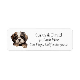 Cute Shih Tzu Chien race Amateurs d'animaux de com