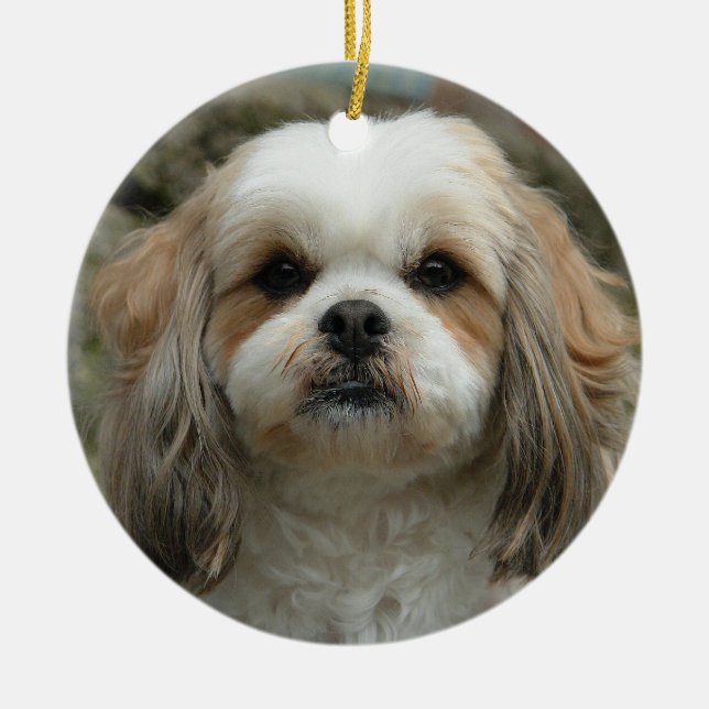 Cute Shih Tzu Christmas Ornament (Front)