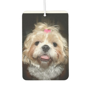 Cute Shih Tzu face Car Air Freshener