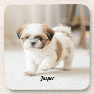 Cute Shih Tzu Personalized Beverage Coaster Set