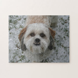 Cute Shih Tzu Puzzle