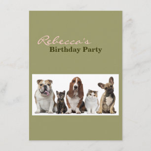 cute short hair cat friends basset hound bull dog invitation