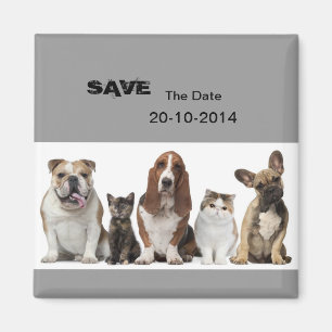 cute short hair cat friends basset hound bull dog magnet