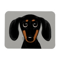 Cute Short Haired Black and Tan Dachshund