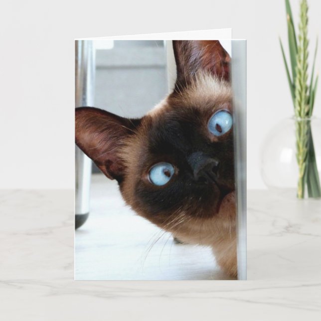 CUTE SIAMESE CAT HAPPY BIRTHDAY CARD (Front)