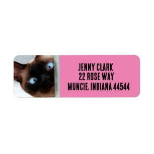 CUTE SIAMESE CAT PEEKING RETURN ADDRESS LABELS