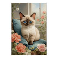 Cute Siamese Cat