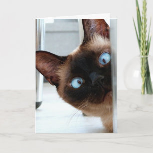 CUTE SIAMESE CHAT HEUREUSE CARTE D'ANNIVERSAIRE