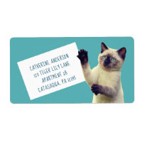 Cute Siamese Kitten Teal Blue Large