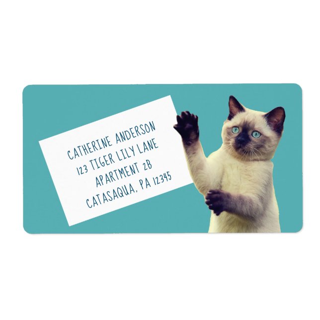 Cute Siamese Kitten Turquoise Bleu Grand (Devant)