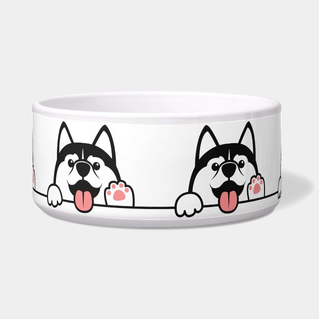 Cute Siberian Husky (Front)