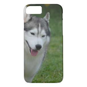 Cute Siberian Husky Case-Mate iPhone Case
