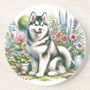 Cute Siberian Husky Coaster