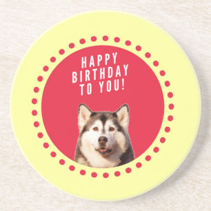 Cute Siberian Husky Dog Happy Birthday Coaster