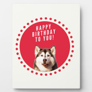 Cute Siberian Husky Dog Happy Birthday Plaque