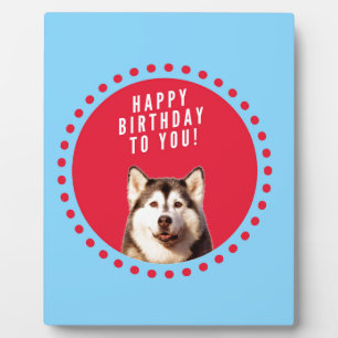 Cute Siberian Husky Happy Birthday blue red dots Plaque
